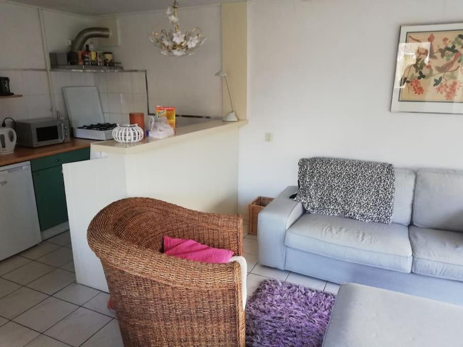 Cottage Egmond-Binnen Met Besloten Tuin Екстериор снимка