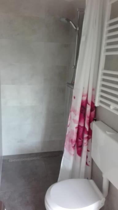 Cottage Egmond-Binnen Met Besloten Tuin Екстериор снимка