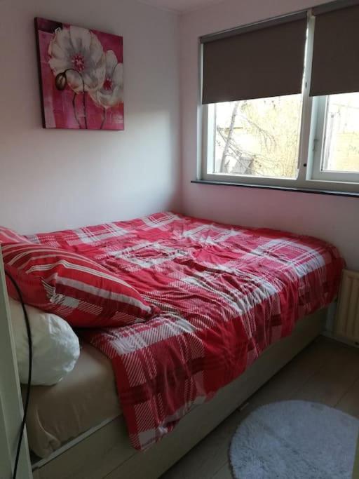 Cottage Egmond-Binnen Met Besloten Tuin Екстериор снимка