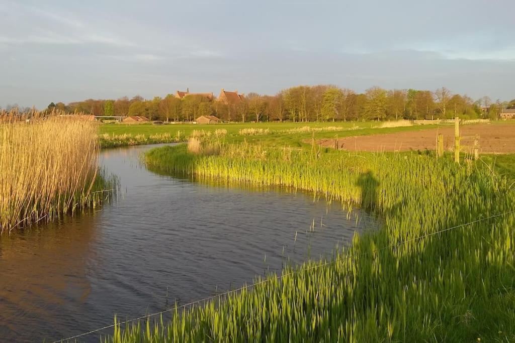 Cottage Egmond-Binnen Met Besloten Tuin Екстериор снимка