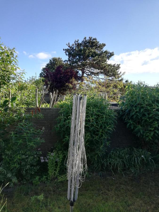Cottage Egmond-Binnen Met Besloten Tuin Екстериор снимка